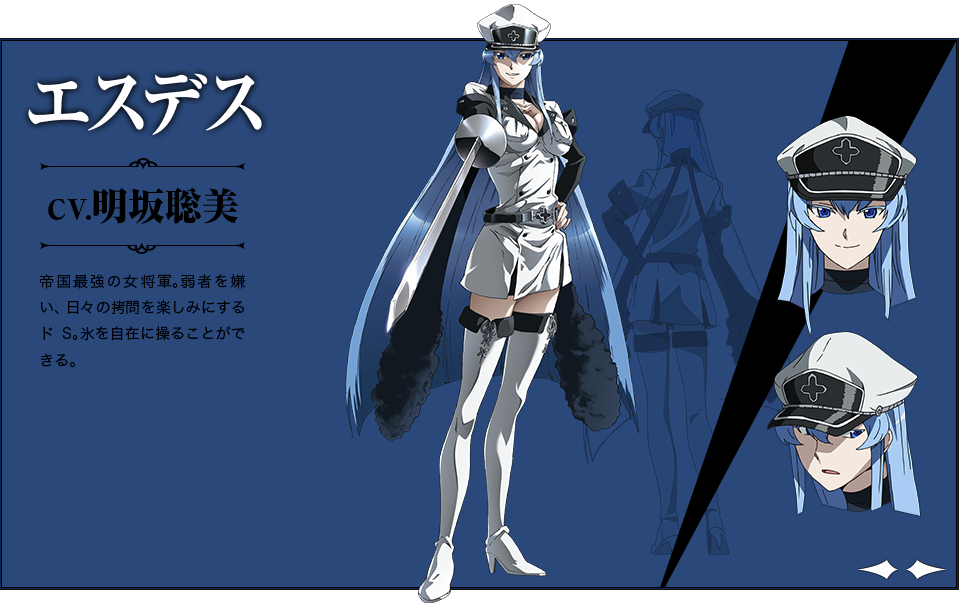 1girl, akame_ga_kill!, akame_ga_kill!_character_sheet, blue_eyes, blue_hair, breasts, cap, character_sheet
