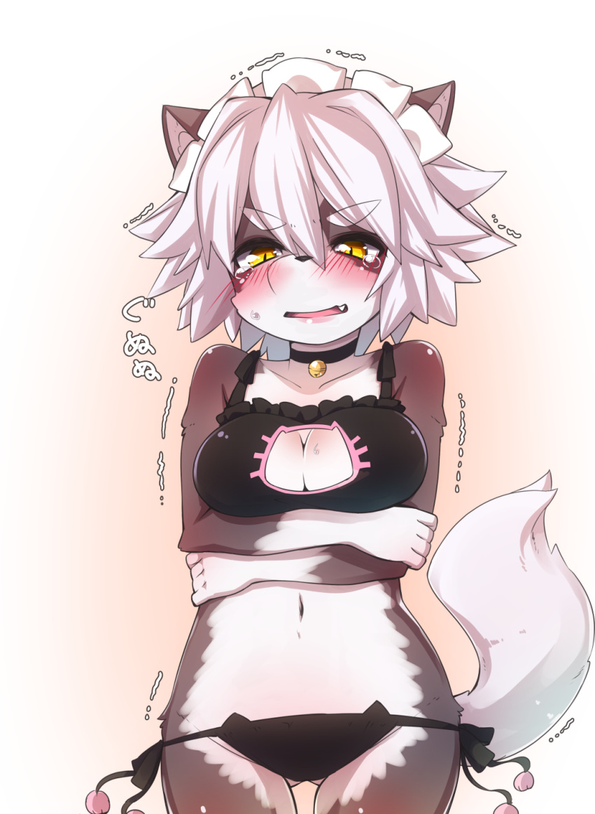 1girl, animal_ears, blush, bra, breasts, cat, cat_keyhole_bra, cat_lingerie, cleavage, cleavage_cutout, fang, furry, looking_at_viewer, open_mouth, panties, short_hair, solo, tail, tears, thick_eyebrows, underwear, white_hair, youki