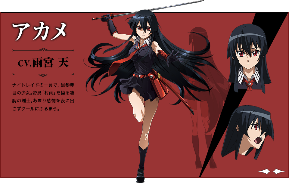 1girl, akame, akame_ga_kill!, akame_ga_kill!_character_sheet, black_hair, character_sheet, long_hair, necktie