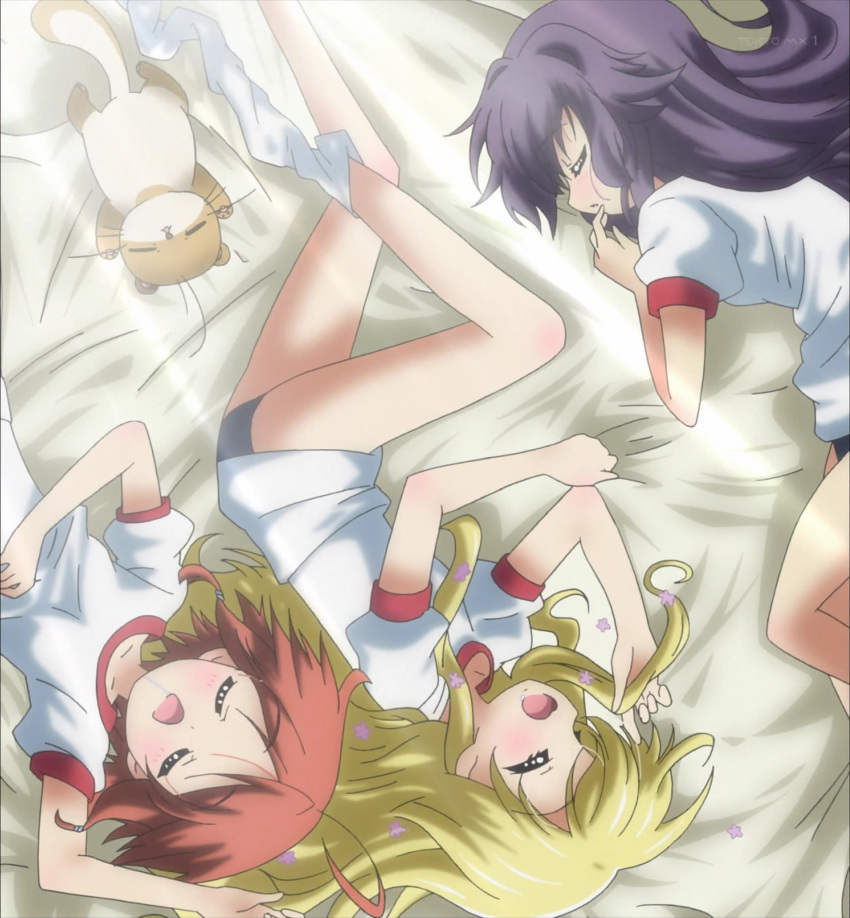 3girls, bed, buruma, cat, cordelia_glauca, hercule_barton, highres, kamaboko_(milky_holmes)