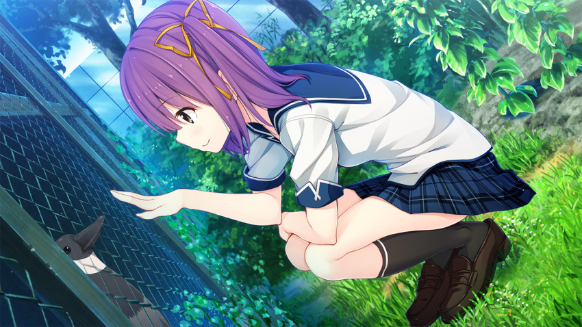 1girl, akabei_soft, bird, breasts, duck, dutch_angle, feet, game_cg