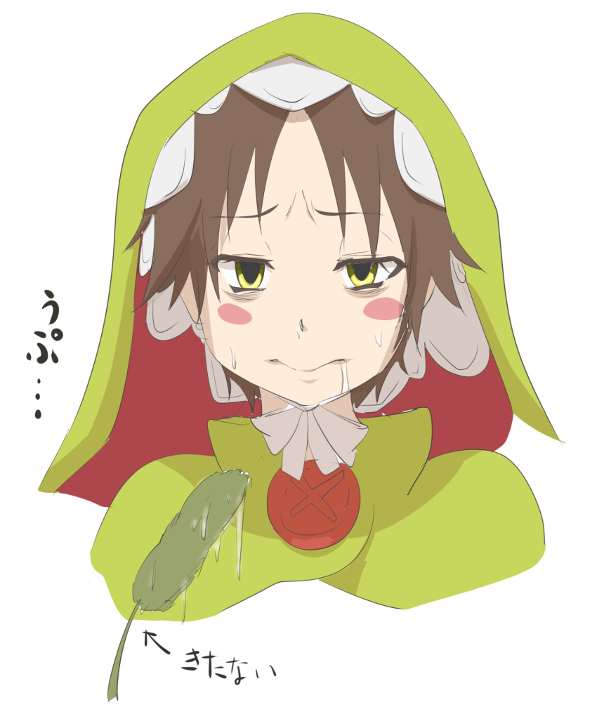 1girl, blush, brown_hair, chamot_rosso, green_eyes, hat, rokka_no_yuusha, saliva, short_hair