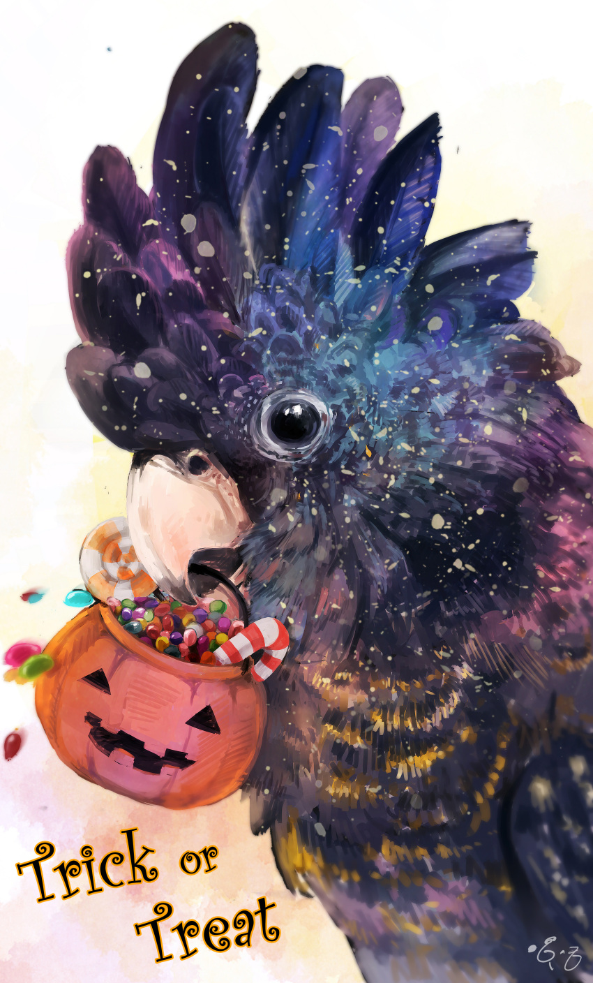bird, candy, cockatoo, feathers, food, halloween, pumpkin, purple