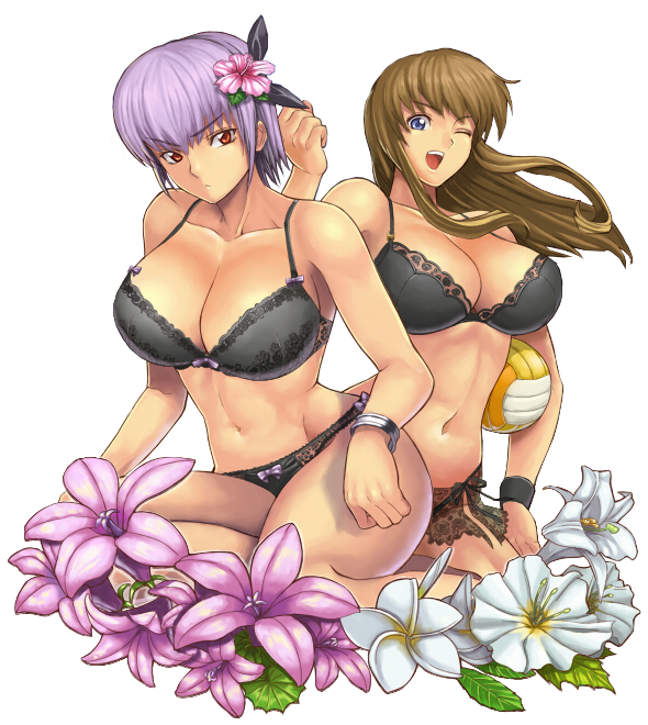 2girls, ayane, ayane_(doa), bikini, breasts, dead_or_alive, hitomi_(doa), ibanen