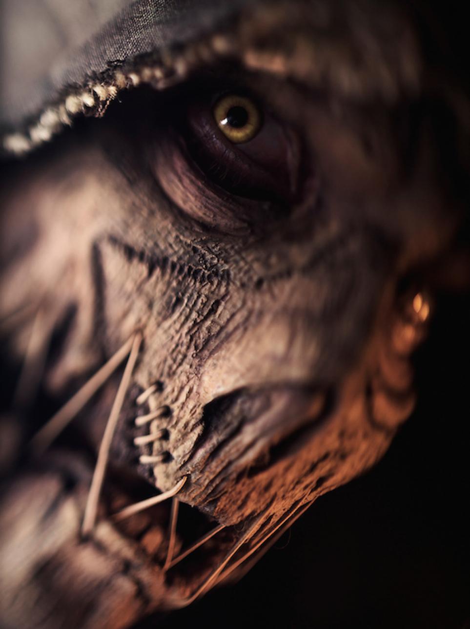 1boy, batman_(series), cosplay, dc_comics, hood, male_focus, mask, matt_sprunger, photo, scarecrow_(dc), solo
