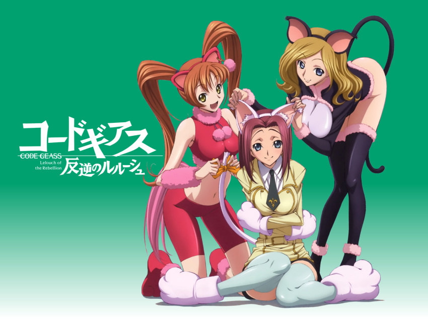 animal_ears, arm_warmers, ass, belt, bent_over, bike_shorts, black_thighhighs, blue_eyes, breasts, brown_hair, cat_ears, cat_tail, code_geass, crop_top, crossed_arms, green_eyes, highres, kallen_stadtfeld, karen_kouzaki, kneeling, large_breasts, long_hair, midriff, millay_ashford, milly_ashford, multiple_girls, necktie, nekomimi, oversized_paw_gloves, paws, red_hair, school_uniform, shirley_fenette, short_hair, sitting, skirt, smile, spandex, tail, thigh_highs, thighhighs, twintails, uniform, wallpaper