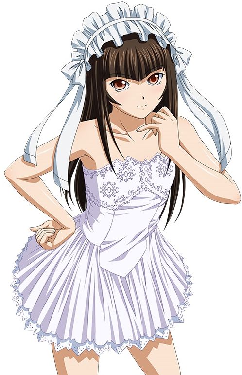 00s, 1girl, brown_hair, female, ikkitousen, ikkitousen:_bakunyuu_souhaden, long_hair, official_art