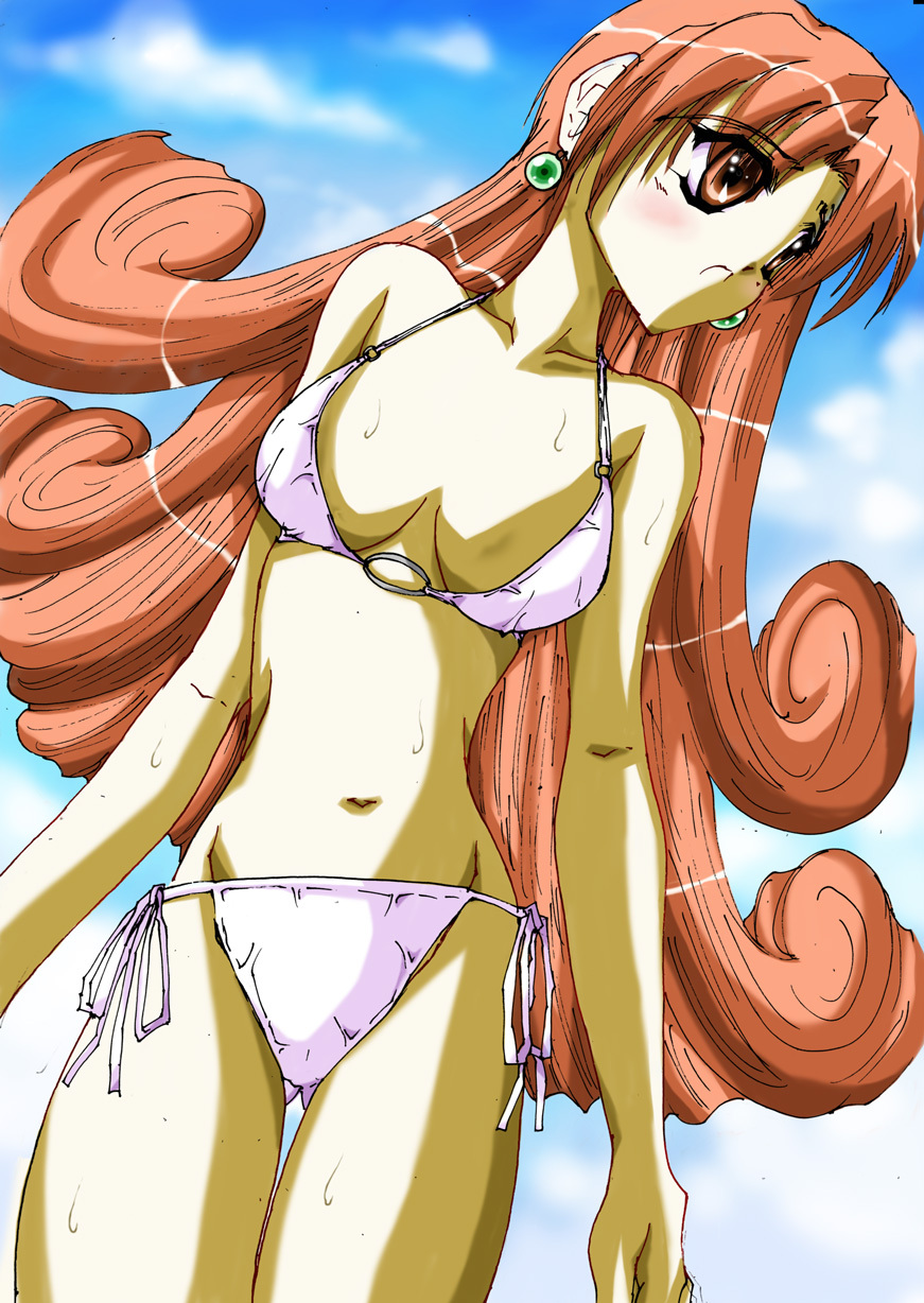 1girl, alena_(dq4), bikini, blush, breasts, brown_eyes, brown_hair, collarbone