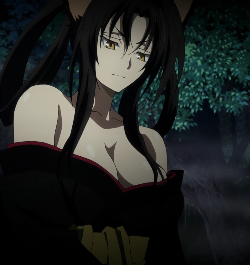 1girl, black_hair, breasts, female, high_school_dxd, kuroka, large_breasts, night