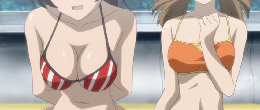 2girls, bare_shoulders, bikini, black_hair, breasts, brown_hair, female, head_out_of_frame