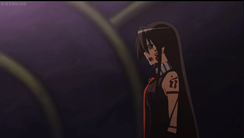 2girls, after_image, afterimage, akame, akame_ga_kill!, amputee, animated, animated_gif
