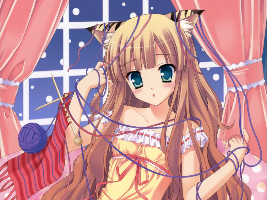 1girl, :o, animal_ears, blue_eyes, blush, catgirl, curtains, eyebrows_visible_through_hair