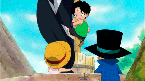 3boys, animated, animated_gif, brothers, flag, hat, jolly_roger, monkey_d_luffy