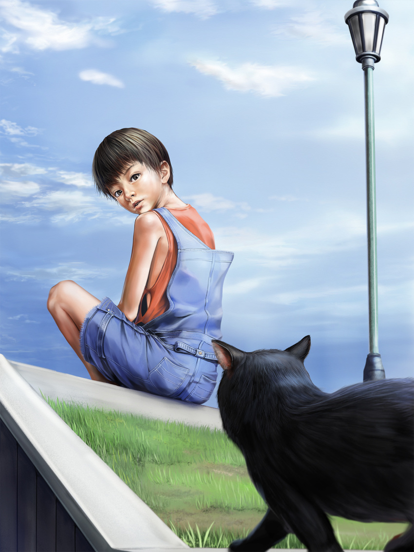 1boy, blue_sky, cat, child, grass, japanese, male_focus, original