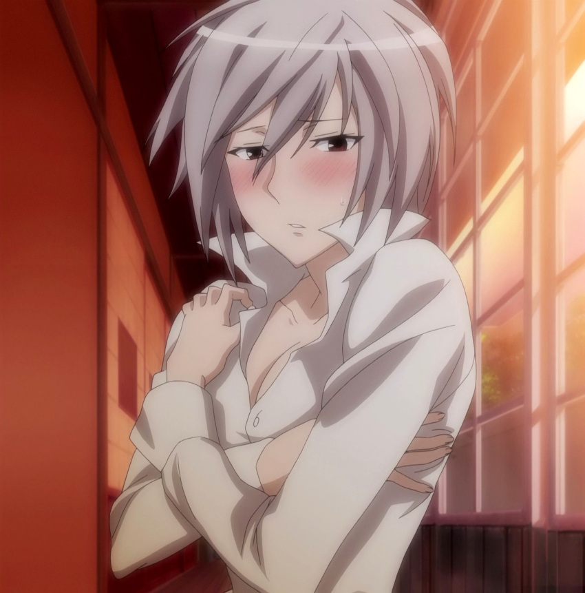 1girl, blush, breasts, highres, homura_(sekirei), looking_at_viewer, red_eyes, sekirei