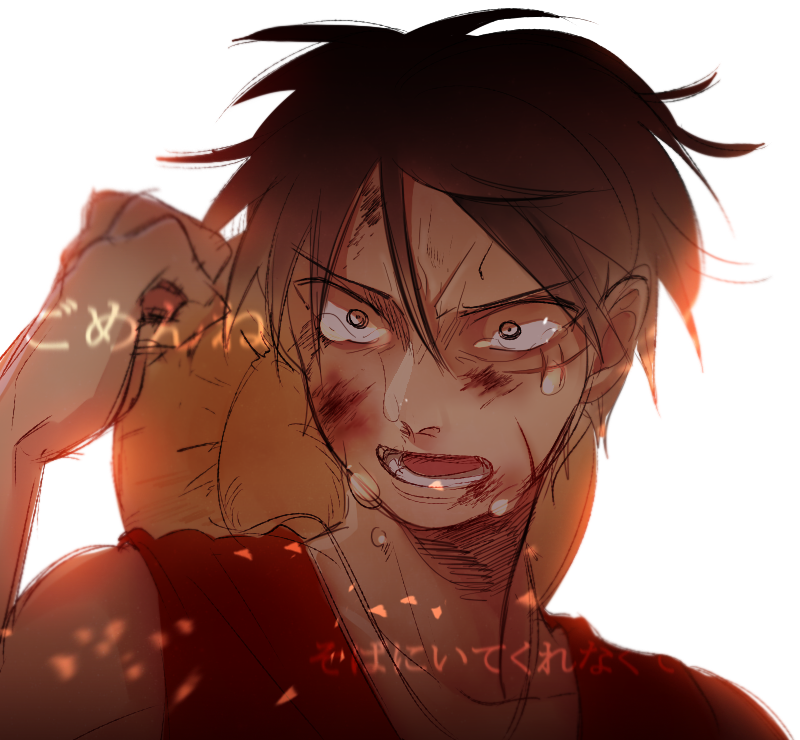 1boy, hat, injury, jeremy_(artist), male_focus, monkey_d_luffy, one_piece, open_mouth, solo, tears