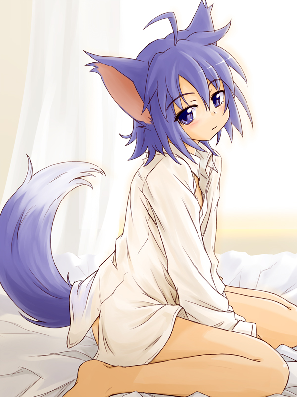 1girl, ahoge, animal_ears, blue_hair, looking_at_viewer, on_bed, punto, shirt