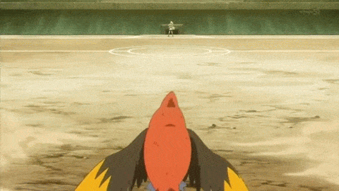 1boy, 1girl, animated, animated_gif, battle, feathers, fletchinder, gym_leader