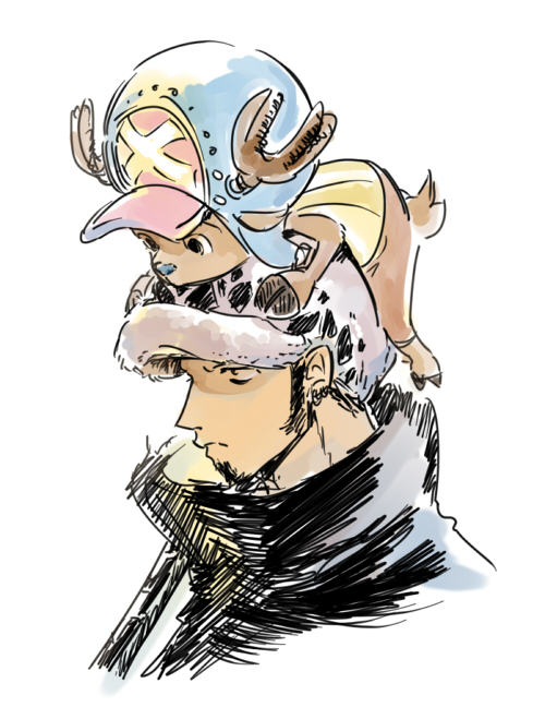 hat, head_perch, jacket, one_piece, punk_hazard, tony_tony_chopper, trafalgar_law
