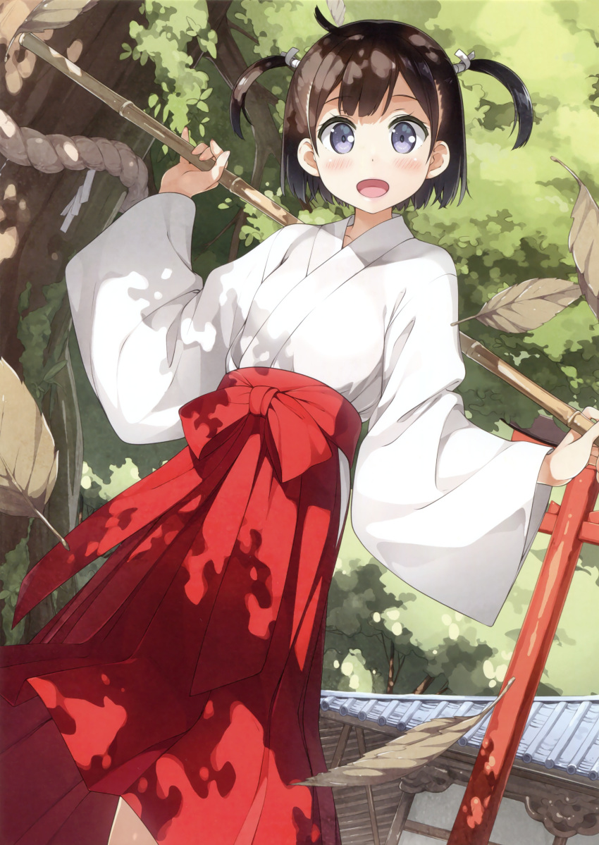 1girl, absurdres, ahoge, bamboo_staff, behind_back, blue_eyes, blush, bow, brown_feathers, building, collarbone, cowboy_shot, day, dutch_angle, feathers, hakama, head_tilt, highres, hip_vent, holding, holding_staff, japanese_clothes, kantoku, kimono, long_sleeves, looking_at_viewer, miko, outdoors, plant, red_bow, red_hakama, scan, shrine, solo, staff, standing, tareme, tree, two_side_up, wide_sleeves