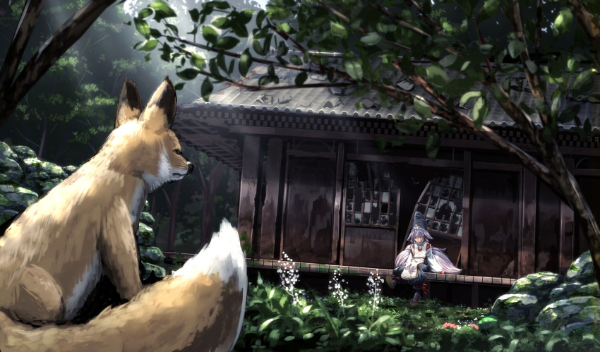 animal, broken_window, brown_eyes, building, forest, fox, gongitsune_(niimi_nankichi), grass