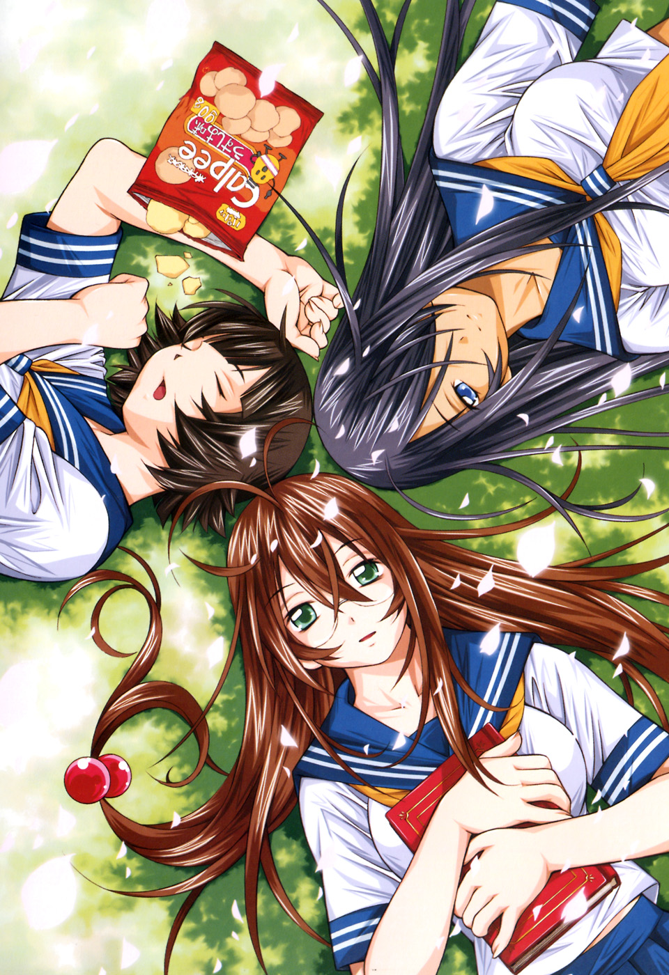 3girls, ann_marcellino, antenna_hair, black_hair, blue_eyes, blue_skirt, book, brown_hair, chouhi_ekitoku, collarbone, food, from_above, glasses, hair_bobbles, hair_ornament, hair_over_one_eye, highres, holding, holding_book, kan'u_unchou, long_hair, looking_at_viewer, lying, multiple_girls, official_art, on_back, open_mouth, outdoors, petals, pleated_skirt, ryuubi_gentoku, school_uniform, serafuku, shiozaki_yuji, shirt, short_hair, skirt, sleeping, white_shirt