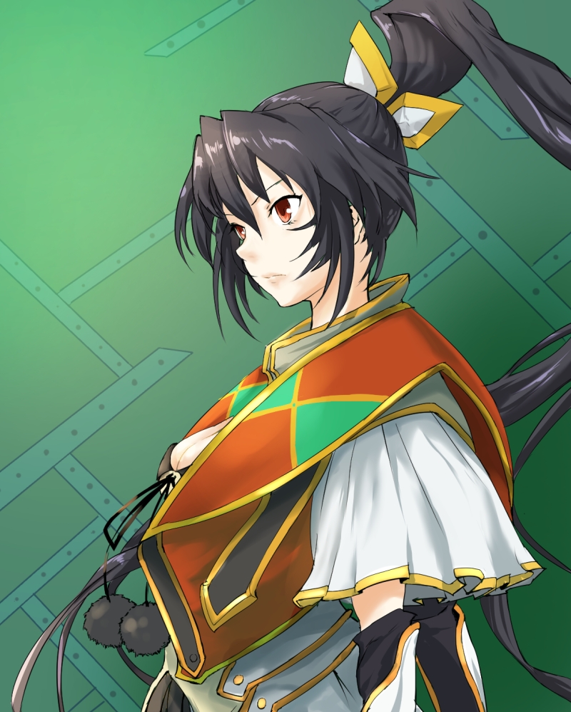 1girl, black_hair, colmack, from_side, green_background, long_hair, ponytail, rance_(series)