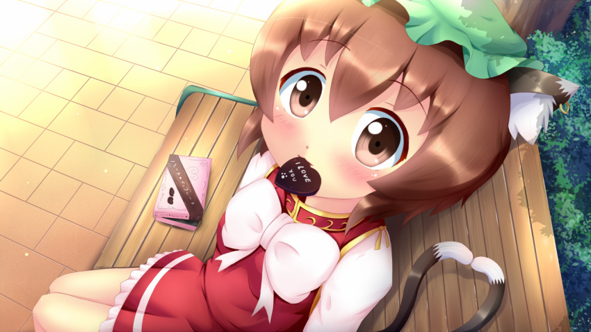 1girl, animal_ears, bench, box, brown_eyes, brown_hair, cat_ears, cat_tail