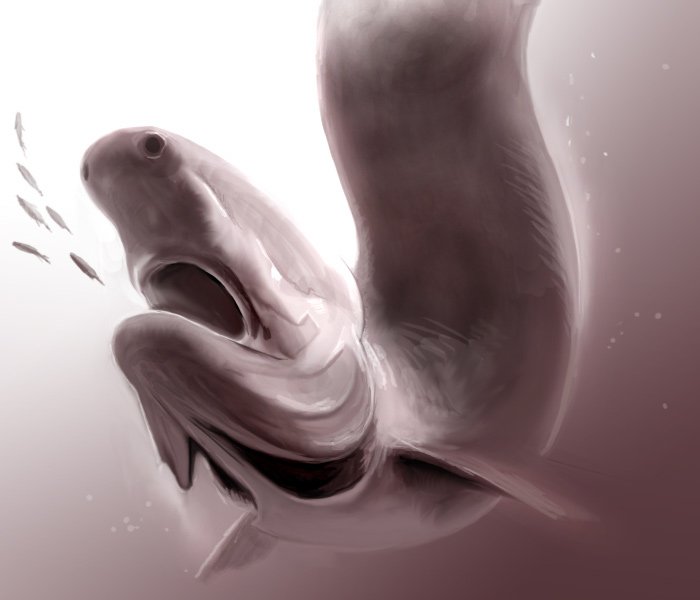 fish, gills, monochrome, no_humans, original, shark, toron, water