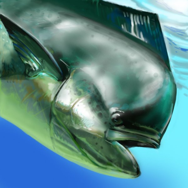 fish, no_humans, open_mouth, original, toron, water