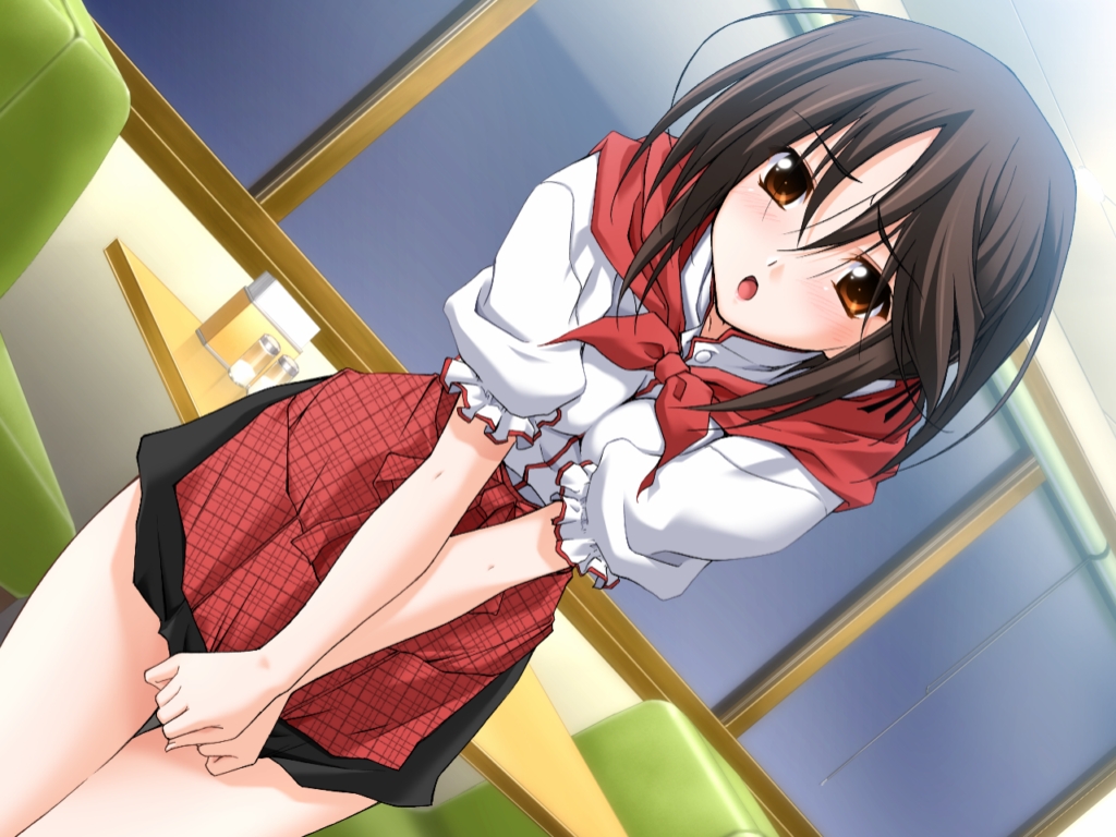 1girl, apron, black_hair, blush, brown_eyes, brown_hair, covering, embarrassed