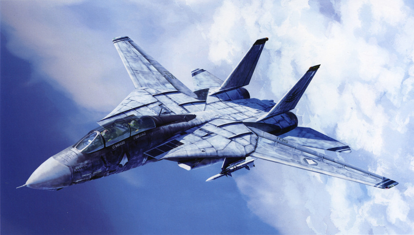 00s, aircraft, airplane, clouds, cockpit, edgar_lasalle, f-14, fighter_jet