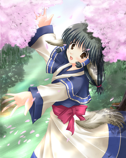 aikawa_fuugetsu, animal_ears, aruruw, cherry_blossoms, dog_ears, japanese_clothes, utawareru_mono