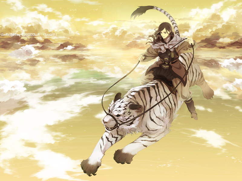 clouds, flying, juuni_kokuki, sakaki_kuuya, sky, taishi, tiger