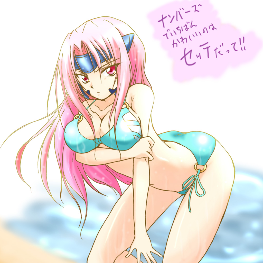 beach, bikini, breasts, large_breasts, long_hair, lyrical_nanoha, mahou_shoujo_lyrical_nanoha, mahou_shoujo_lyrical_nanoha_strikers