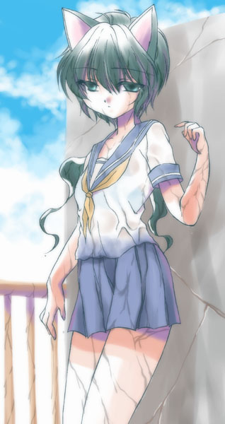 1girl, aizawa_yoshihiko, animal_ears, cat_ears, original, school_uniform, serafuku, solo