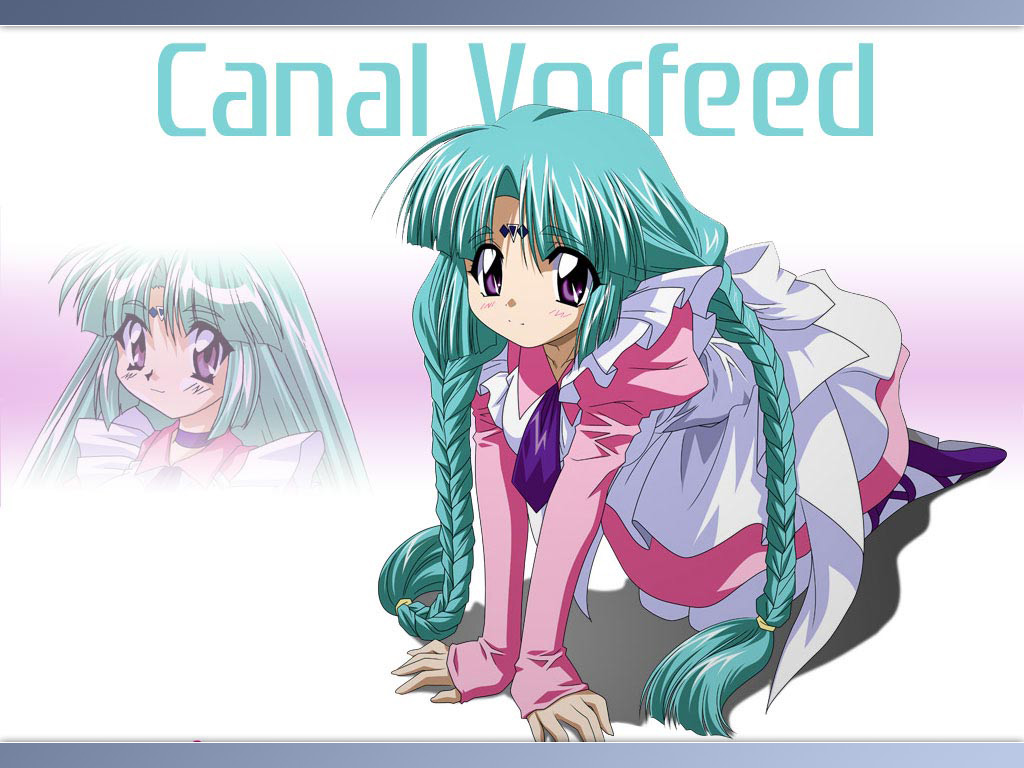 90s, braid, canal_vorfeed, green_hair, lost_universe, maid, sugimura_tomokazu, thigh-highs