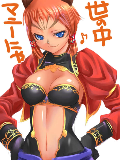 1girl, final_fantasy, final_fantasy_xi, mithra, naja_salaheem, solo, tori, tori_(torinchi), translated