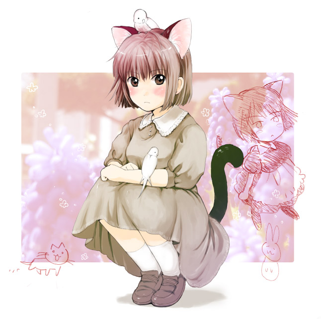 1girl, animal, animal_ears, animal_on_head, bird, bird_on_head, blush, bob_cut, brown_eyes, brown_hair, cat_ears, cat_tail, dress, loafers, looking_at_viewer, nyannyannyan!, ogawa_hidari, original, shoes, short_hair, sketch, solo, squatting, tail