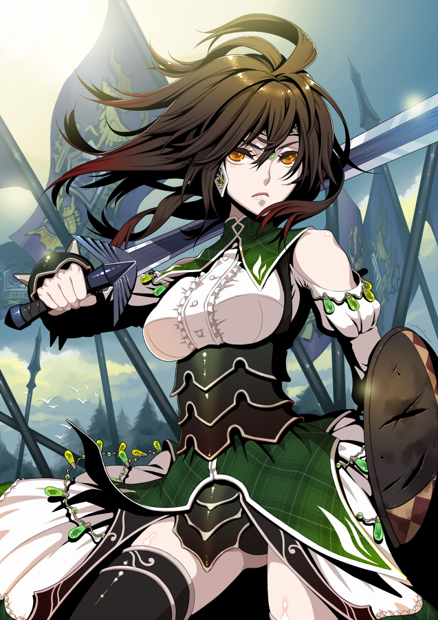 brown_hair, circlet, dress, fantasy_earth_zero, long_hair, miogrobin, pale_skin, shield