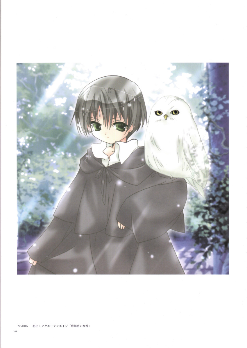 1boy, 1girl, absurdres, androgynous, animal, bird, black_hair, blush
