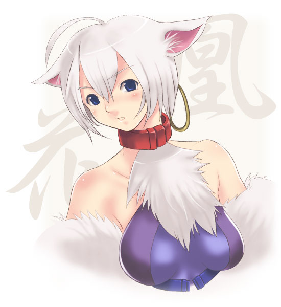 .hack//, .hack//tasogare_no_udewa_densetsu, 00s, animal_ears, bandai, collar, cyber_connect_2, earrings, hoop_earrings, jewelry, ouka_(.hack//), sango_(53box), short_hair, silver_hair, wolf_ears