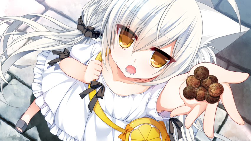 1girl, ahoge, animal_ears, bag, bangs, cat_ears, coin, corona_blossom