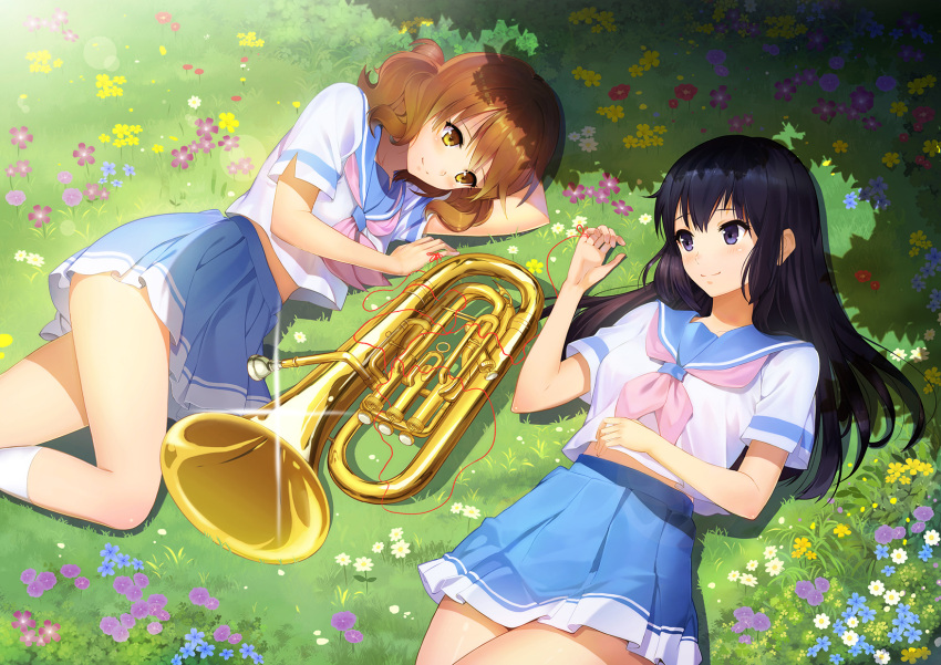 2girls, black_hair, blush, brown_eyes, brown_hair, euphonium, flower, grass