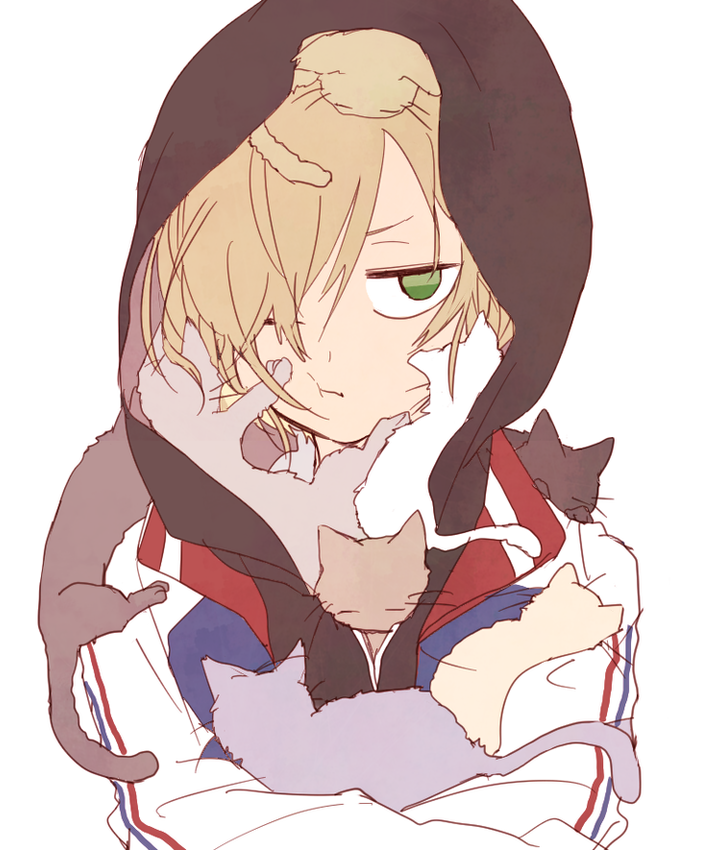 >;t, 1boy, animal, animal_in_clothes, animal_on_head, animal_on_shoulder, black_cat, blonde_hair
