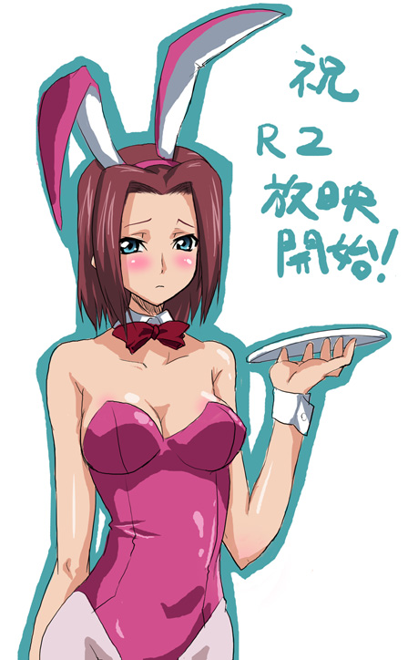 animal_ears, bunnysuit, code_geass, kallen_stadtfeld, nagisa_manoa, pantyhose, pink_legwear, plate