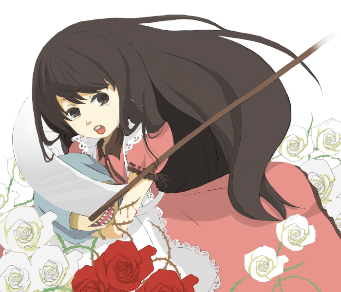 blood, brown_eyes, cheshire_cat, dress, flower, hood, katsuragi_ariko, long_hair