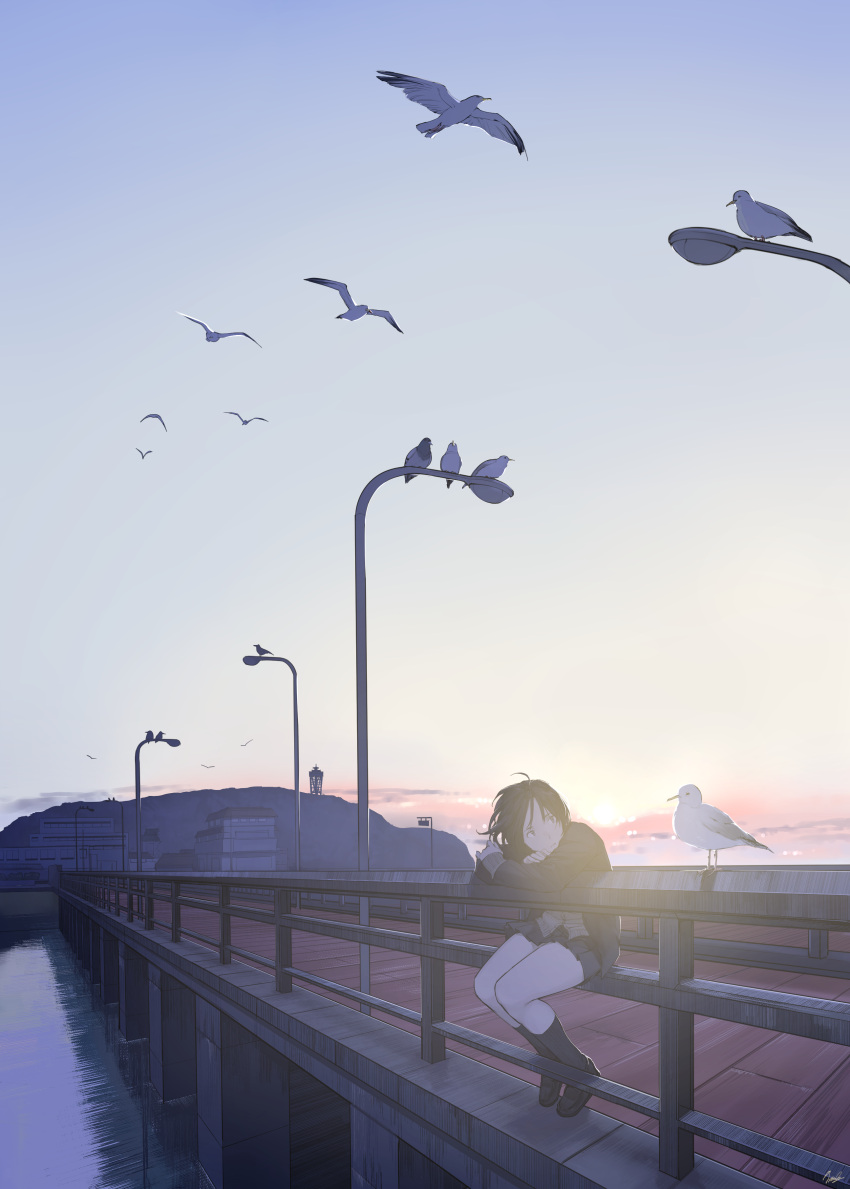 1girl, absurdres, ahoge, artist_name, bangs, bird, black_hair, black_legwear
