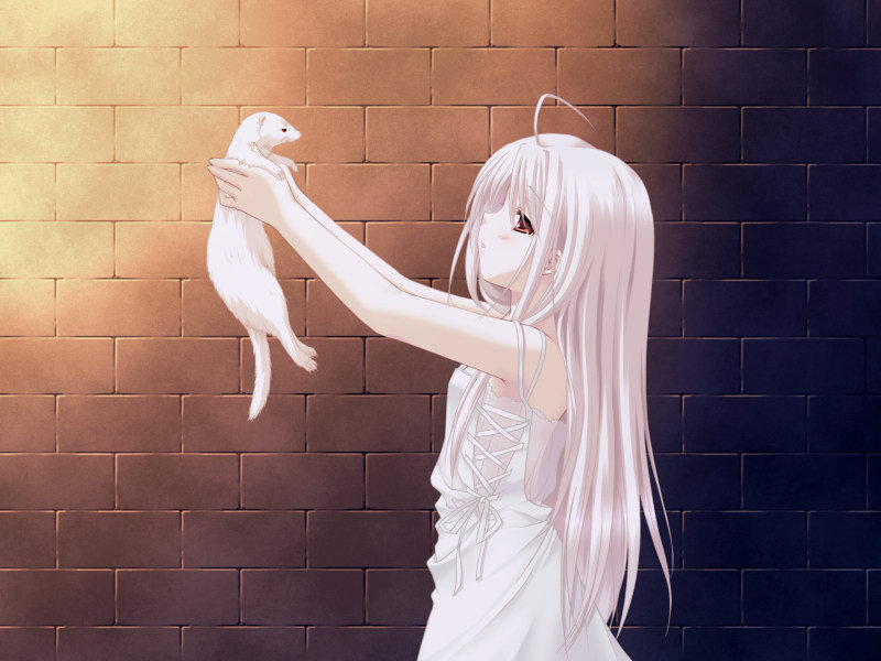 1girl, albino, brick_wall, cookie_(white_clarity), ferret, game_cg, long_hair, pale_skin, rino, rino_(white_clarity), shouna_mitsuishi, solo, white_clarity, white_hair