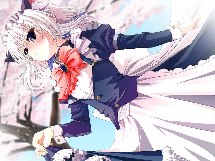 akai_migiwa, aoi_nagisa_(artist), blue_eyes, blush, bow, brooch, cat_ears, cherry_blossoms, collar, cross_~kyouki_e_no_michi_shirube~, dress, dress_lift, dutch_angle, highres, hikawa_shizuku, jewelry, maid, maid_headdress, ore_no_dorei~hikawa_shizuku, outdoors, robingi, short_hair, sky, smile, solo, tree, trees, white_hair, white_hairrn, wrist_cuffs